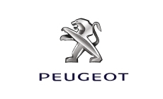 Peugeot gas struts