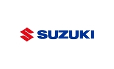 Suzuki gas struts