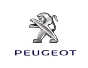 Peugeot gas struts