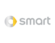 Smart Car gas struts