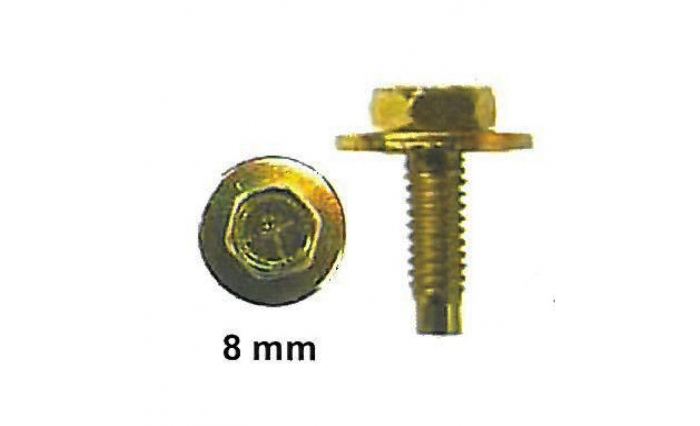 Hex Bolt with Washer Gold M5