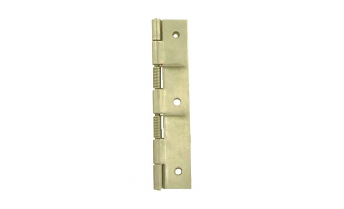 Spring Hinge